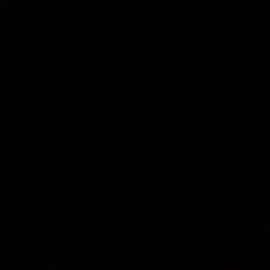 Meet your Posher, Lil